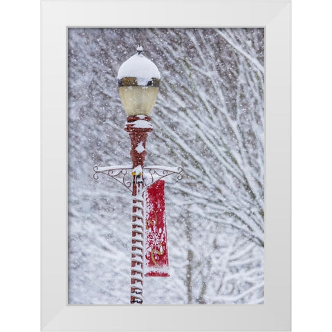 USA- Washington State- Issaquah with fresh fallen snow and red lamppost with Christmas decorations White Modern Wood Framed Art Print by Gulin, Darrell