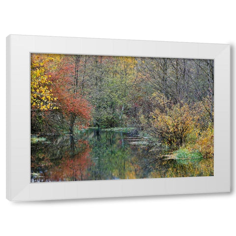 USA- Washington State- Easton and Washington Cascades water way off of Yakima River in Fall Color White Modern Wood Framed Art Print by Gulin, Darrell