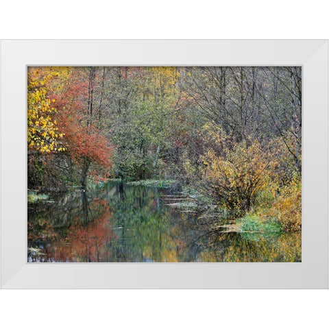 USA- Washington State- Easton and Washington Cascades water way off of Yakima River in Fall Color White Modern Wood Framed Art Print by Gulin, Darrell
