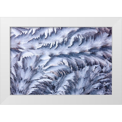 USA- Washington State- Sammamish. Frost on auto window White Modern Wood Framed Art Print by Gulin, Darrell