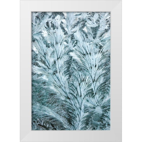 USA- Washington State- Sammamish. Frost on auto window White Modern Wood Framed Art Print by Gulin, Darrell