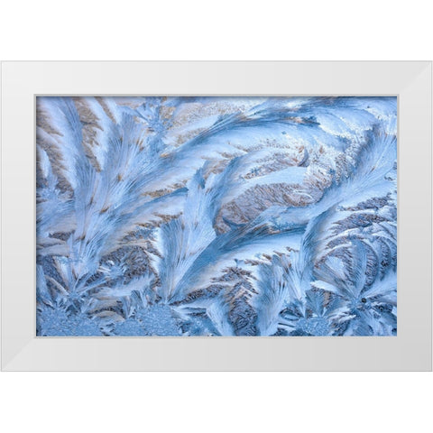 USA- Washington State- Sammamish. Frost on auto window White Modern Wood Framed Art Print by Gulin, Darrell