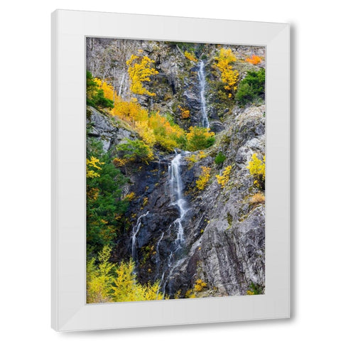 USA- Washington State- east of Newhalem highway 20 waterfall with fall colors White Modern Wood Framed Art Print by Gulin, Darrell
