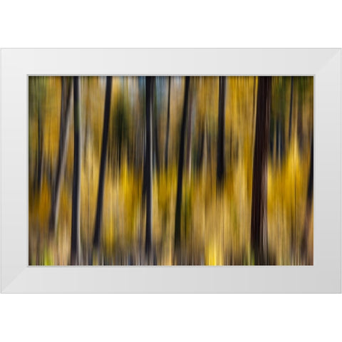 USA- Washington State. East of Twisp on Highway 20 White Modern Wood Framed Art Print by Gulin, Darrell