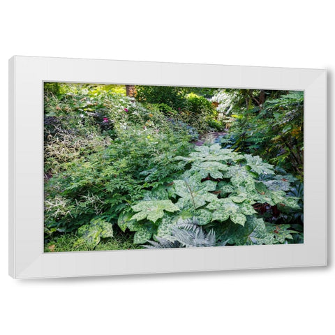 USA- Washington State. Bellevue Botanical garden and shade garden White Modern Wood Framed Art Print by Gulin, Darrell