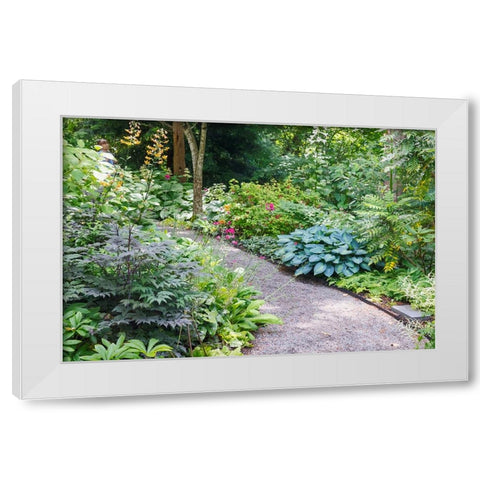 USA- Washington State. Bellevue Botanical garden and shade garden White Modern Wood Framed Art Print by Gulin, Darrell