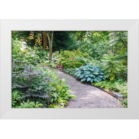 USA- Washington State. Bellevue Botanical garden and shade garden White Modern Wood Framed Art Print by Gulin, Darrell