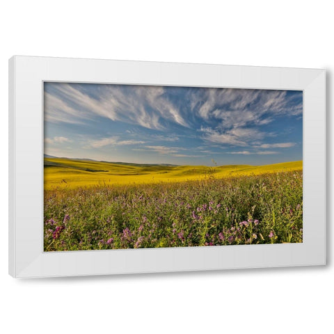 USA- Washington State- Palouse White Modern Wood Framed Art Print by Gulin, Darrell