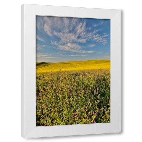 USA- Washington State- Palouse White Modern Wood Framed Art Print by Gulin, Darrell