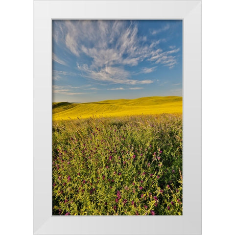 USA- Washington State- Palouse White Modern Wood Framed Art Print by Gulin, Darrell