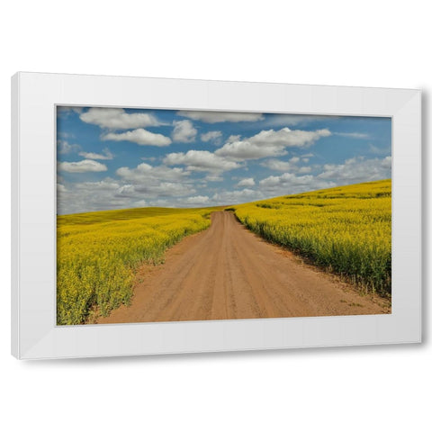 USA- Washington State- Palouse. Springtime landscape dirt roadway and Canola fields White Modern Wood Framed Art Print by Gulin, Darrell