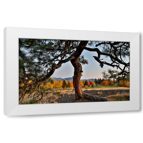 USA- Washington State- Winthrop- Sun Mountain and lone pine tree White Modern Wood Framed Art Print by Gulin, Darrell