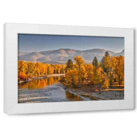 USA- Washington State- Methow Valley and river edged in Fall colored trees. White Modern Wood Framed Art Print by Gulin, Darrell