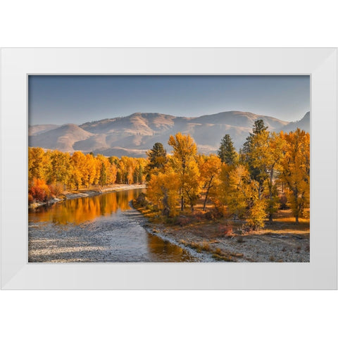 USA- Washington State- Methow Valley and river edged in Fall colored trees. White Modern Wood Framed Art Print by Gulin, Darrell