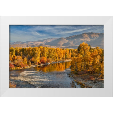 USA- Washington State- Methow Valley and river edged in Fall colored trees. White Modern Wood Framed Art Print by Gulin, Darrell