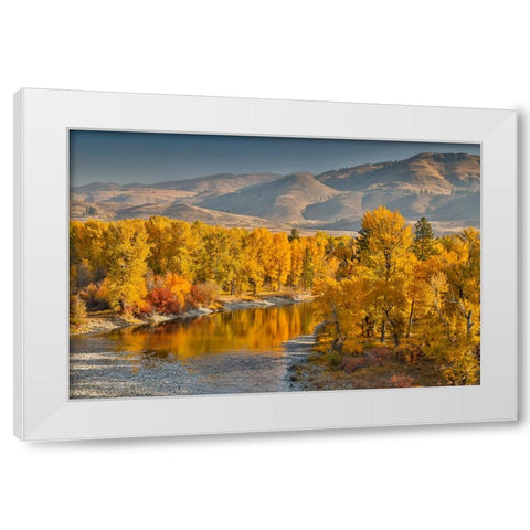 USA- Washington State- Methow Valley and river edged in Fall colored trees. White Modern Wood Framed Art Print by Gulin, Darrell