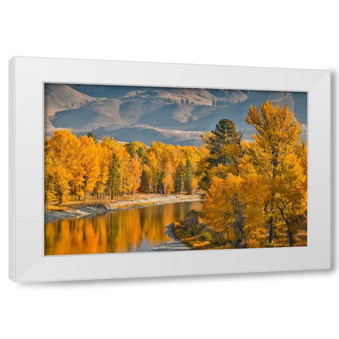 USA- Washington State- Methow Valley and river edged in Fall colored trees. White Modern Wood Framed Art Print by Gulin, Darrell
