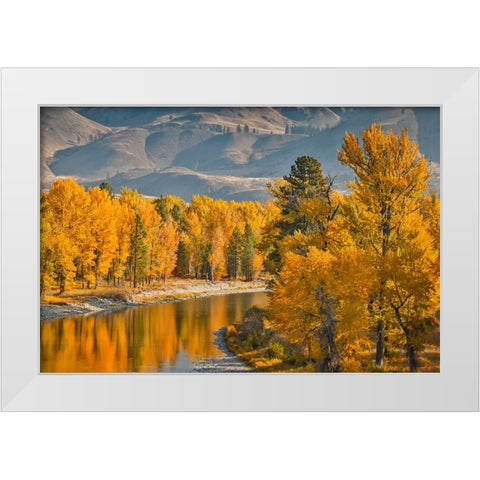 USA- Washington State- Methow Valley and river edged in Fall colored trees. White Modern Wood Framed Art Print by Gulin, Darrell