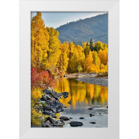USA- Washington State- Methow Valley and river edged in Fall colored trees. White Modern Wood Framed Art Print by Gulin, Darrell