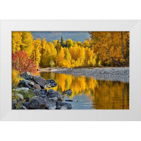 USA- Washington State- Methow Valley and river edged in Fall colored trees. White Modern Wood Framed Art Print by Gulin, Darrell
