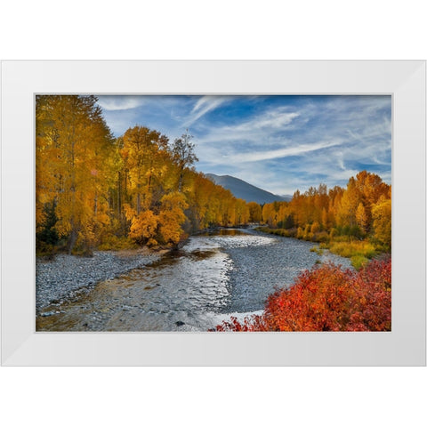 USA- Washington State- Methow Valley and river edged in Fall colored trees. White Modern Wood Framed Art Print by Gulin, Darrell