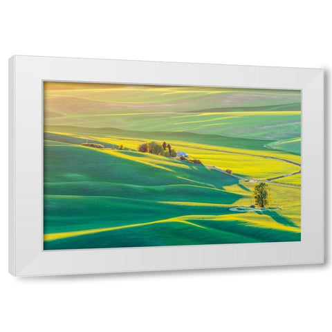 Steptoe Butte State Park-Washington State-USA-Sunset view of wheat fields in the rolling Palouse hi White Modern Wood Framed Art Print by Wilson, Emily M.