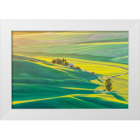 Steptoe Butte State Park-Washington State-USA-Sunset view of wheat fields in the rolling Palouse hi White Modern Wood Framed Art Print by Wilson, Emily M.