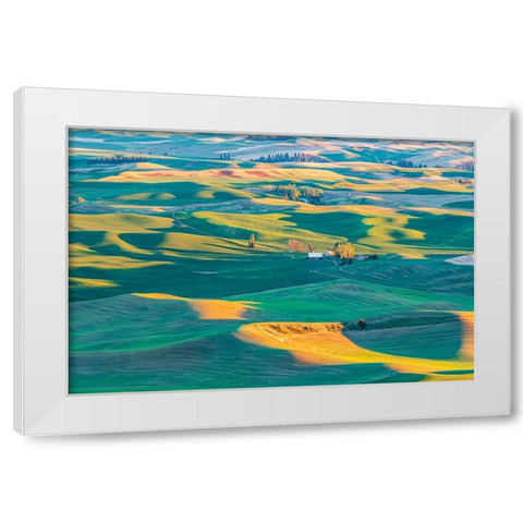 Steptoe Butte State Park-Washington State-USA-Sunset view of wheat farms in the rolling Palouse hil White Modern Wood Framed Art Print by Wilson, Emily M.