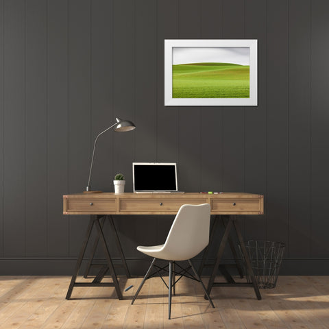 Steptoe-Washington State-USA-Wheat fields in the rolling Palouse hills of Washington White Modern Wood Framed Art Print by Wilson, Emily M.