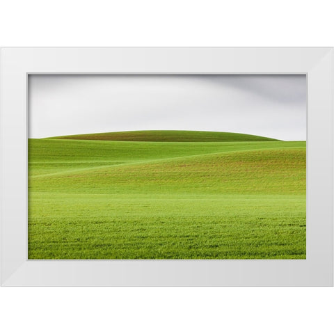 Steptoe-Washington State-USA-Wheat fields in the rolling Palouse hills of Washington White Modern Wood Framed Art Print by Wilson, Emily M.