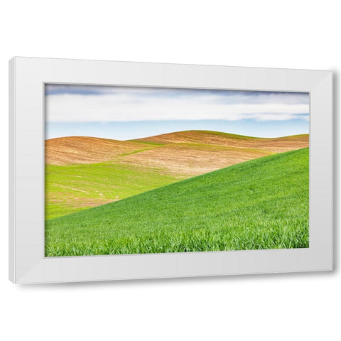 Pullman-Washington State-USA-Rolling wheat fields in the Palouse hills White Modern Wood Framed Art Print by Wilson, Emily M.