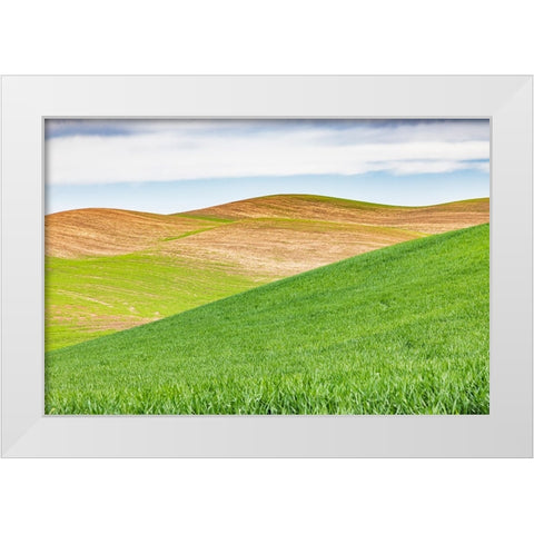 Pullman-Washington State-USA-Rolling wheat fields in the Palouse hills White Modern Wood Framed Art Print by Wilson, Emily M.