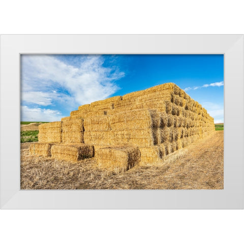 Pullman-Washington State-USA-Stack of hay bales in the Palouse hills White Modern Wood Framed Art Print by Wilson, Emily M.