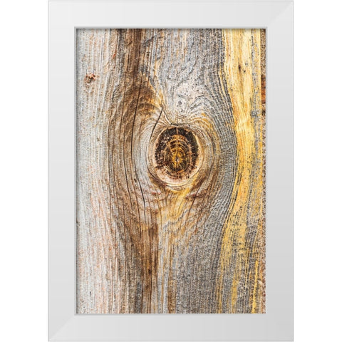 Latah-Washington State-USA-Knot in weathered wood on an old barn White Modern Wood Framed Art Print by Wilson, Emily M.