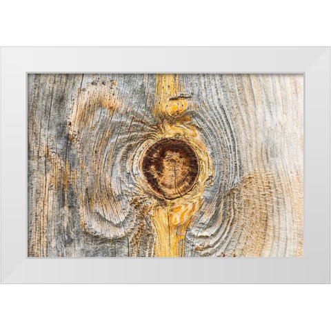 Latah-Washington State-USA-Knot in weathered wood on an old barn White Modern Wood Framed Art Print by Wilson, Emily M.