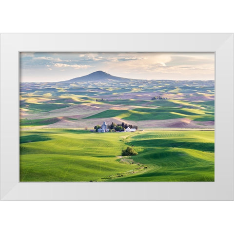 Farmington-Washington State-USA-Wheat farms in front of Steptoe Butte in the Palouse hills White Modern Wood Framed Art Print by Wilson, Emily M.