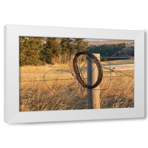 USA- Washington State- Whitman County- Palouse. Barbed wire fence Posts. White Modern Wood Framed Art Print by Wilson, Emily M.
