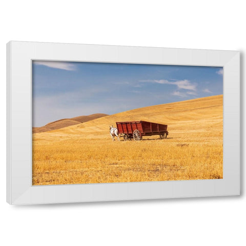 USA- Washington State- Whitman County- Palouse White Modern Wood Framed Art Print by Wilson, Emily M.