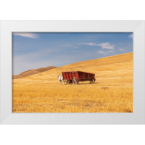 USA- Washington State- Whitman County- Palouse White Modern Wood Framed Art Print by Wilson, Emily M.