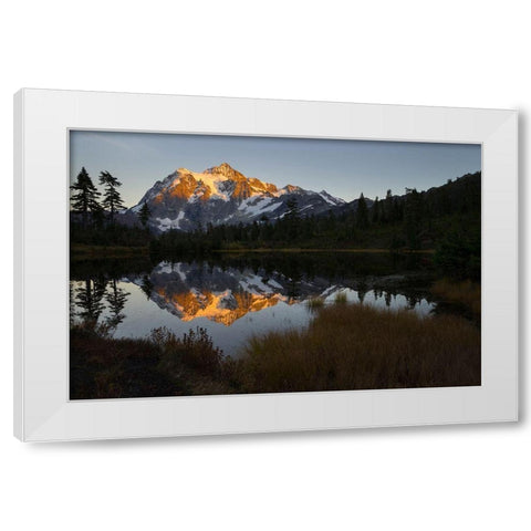 Glaciated Mt Shuksan reflected in Picture Lake-Mt Baker-Snoqualmie National Forest  White Modern Wood Framed Art Print by Luhm, Gary