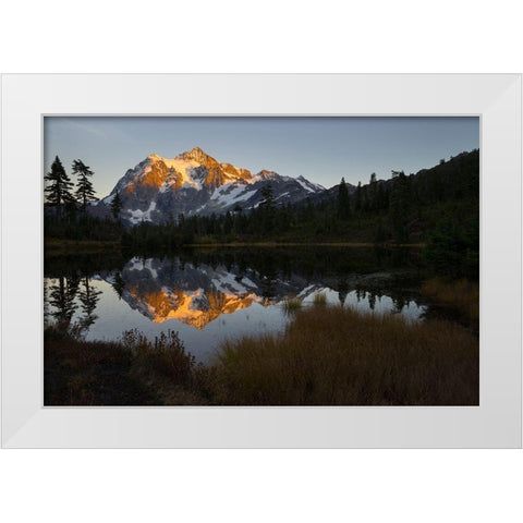 Glaciated Mt Shuksan reflected in Picture Lake-Mt Baker-Snoqualmie National Forest  White Modern Wood Framed Art Print by Luhm, Gary