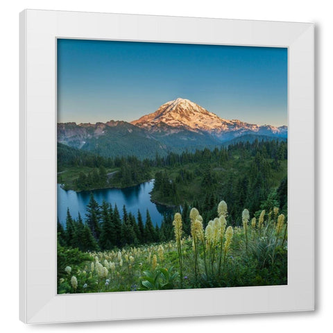 Washington State Beargrass wildflowers from the flank of Tolmie Peak at Eunice Lake White Modern Wood Framed Art Print by Luhm, Gary