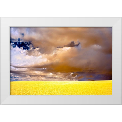 USA-Palouse abstract White Modern Wood Framed Art Print by Theodore, George and Marilu