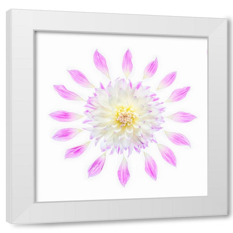 Usa-Washington State-Sammamish Flower Design White Modern Wood Framed Art Print by Looney, Hollice