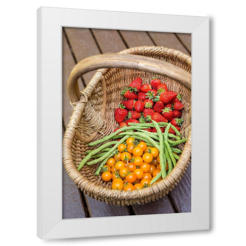 Issaquah-Washington State-USA Basket of freshly picked strawberries White Modern Wood Framed Art Print by Horton, Janet