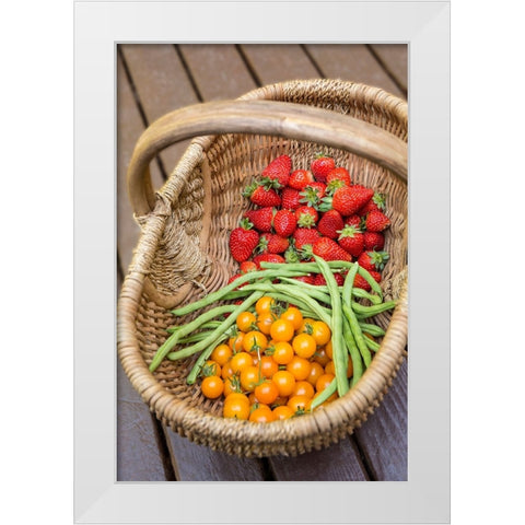 Issaquah-Washington State-USA Basket of freshly picked strawberries White Modern Wood Framed Art Print by Horton, Janet