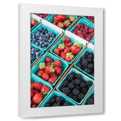 Issaquah-Washington State-USA Pints of freshly harvested strawberries White Modern Wood Framed Art Print by Horton, Janet