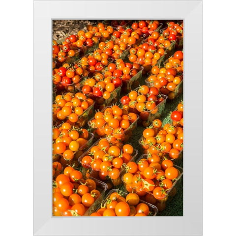 Issaquah-Washington State-USA Pints of cherry tomatoes for sale at a Farmers Market White Modern Wood Framed Art Print by Horton, Janet