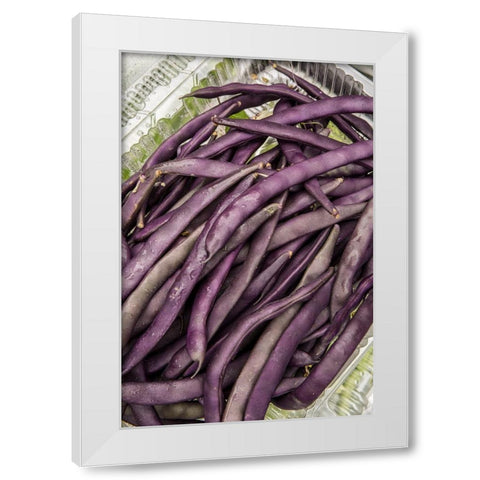 Bellevue-Washington State-USA Freshly harvested Violet Podded Stringless pole beans White Modern Wood Framed Art Print by Horton, Janet