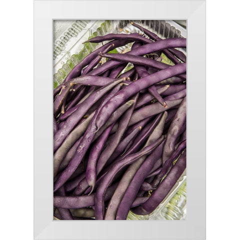 Bellevue-Washington State-USA Freshly harvested Violet Podded Stringless pole beans White Modern Wood Framed Art Print by Horton, Janet